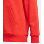 Adidas Essentials Big Logo Hoodie Jr GN4037 Clothing/Lifestyle Adidas