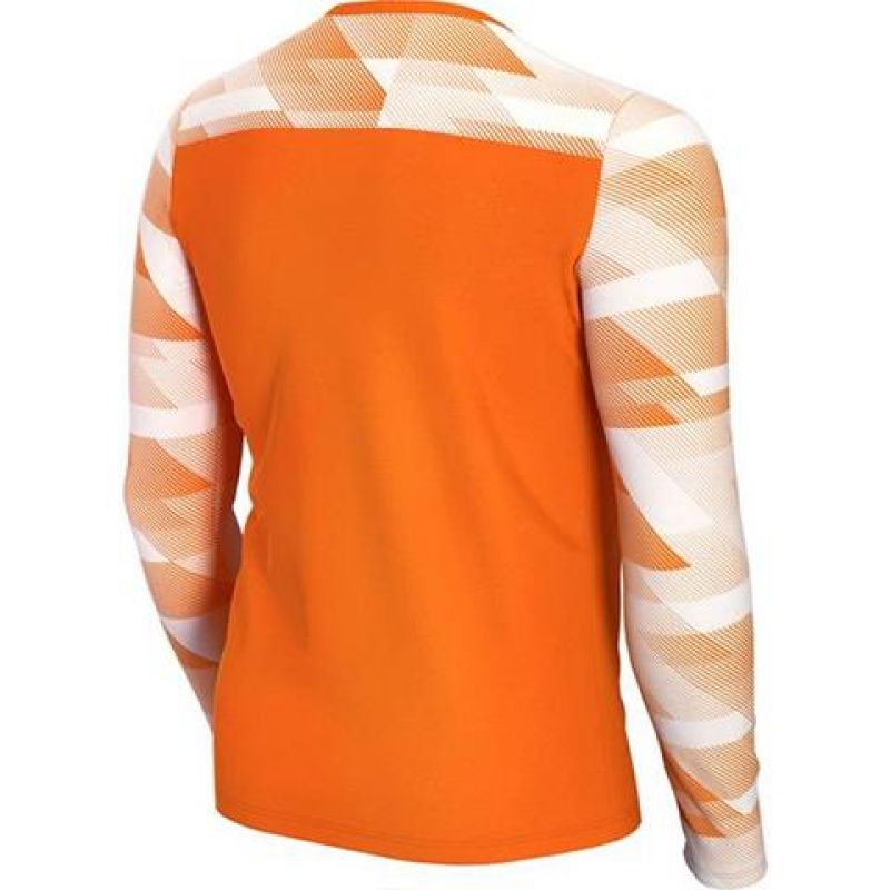 T-shirt Nike Dry Park IV JSY LS GK Jr CJ6072-819 Clothing/Football Nike