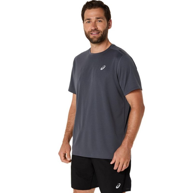 Asics Core SS Top M 2011D221020 Clothing/Training Asics