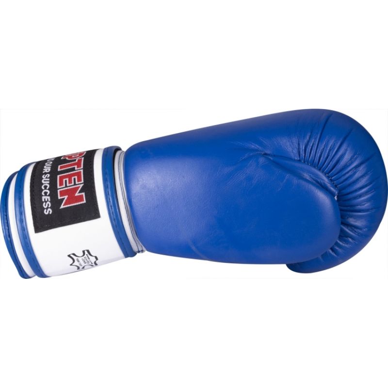 TOP TEN "FIGHT" RTT-2 Boxing Gloves 10 oz (WAKO APPROVED) In preparation Your Sports Performance