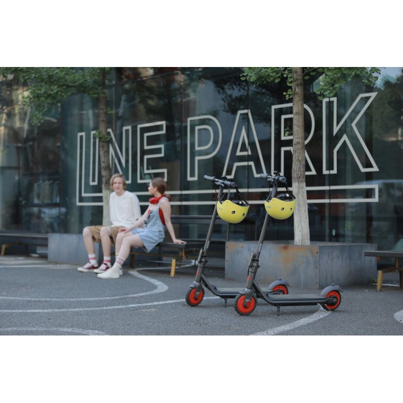 Segway-electric scooter ZING C20 Import z Action/Skating/Hulajnogi elektryczne Your Sports Performance