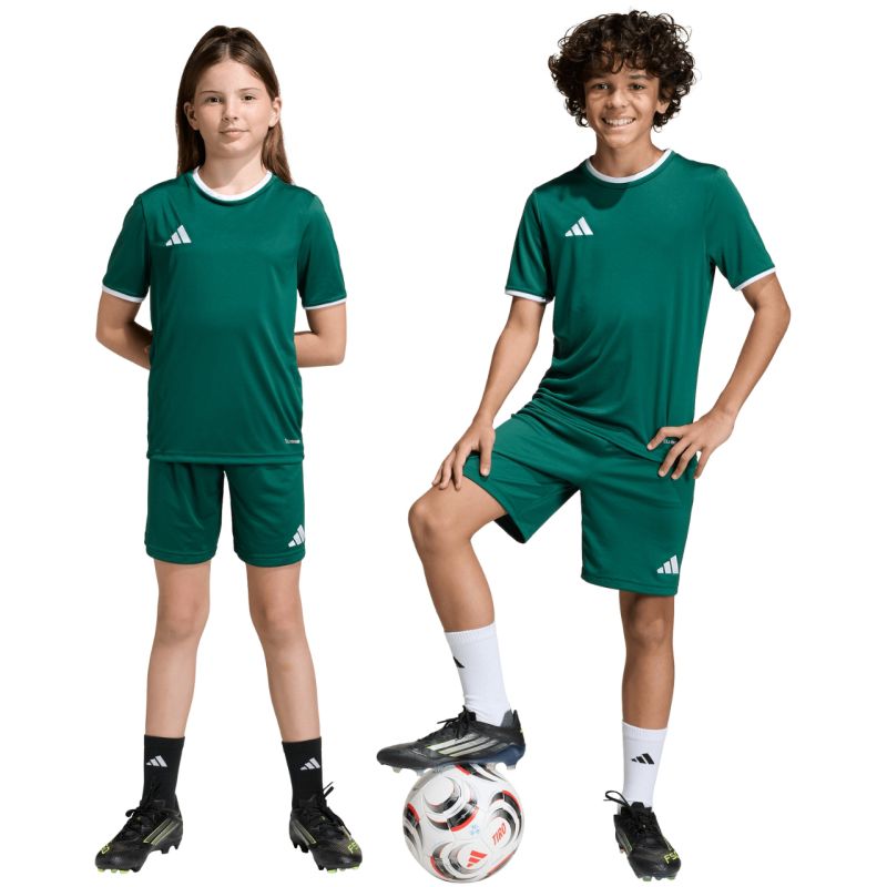 adidas Entrada 26 Kids' Shorts Green KE9831