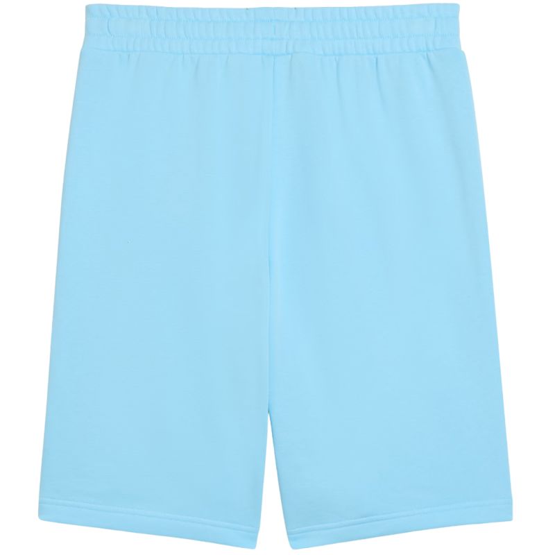 Puma ESS No.1 Logo 10" Men's Shorts (s) Light Blue 682595 45