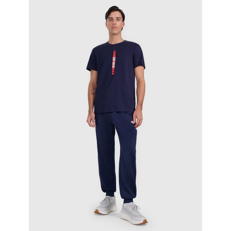 Men's regular printed T-shirt 4F 4FRAW25TTSHM3225-31S 4f