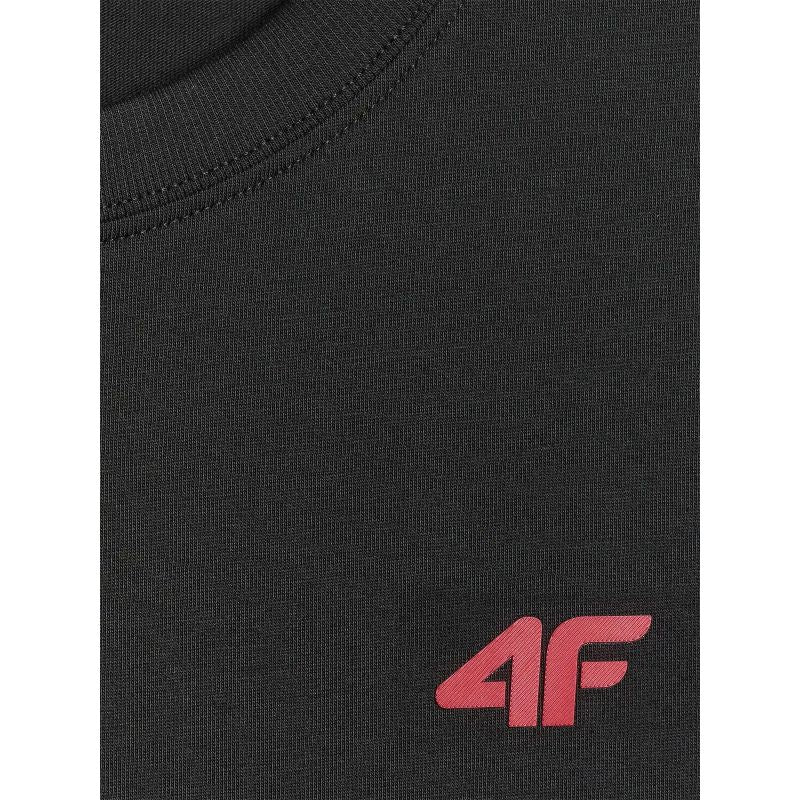 Regular men's T-shirt 4F 4FWMM00TTSHM3341-020S