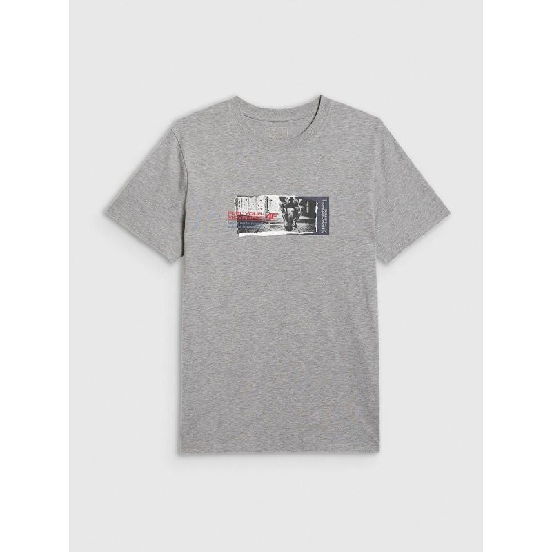 Men's regular printed T-shirt 4F 4FRAW25TTSHM3364-27M *Kategoria tymczasowa Your Sports Performance