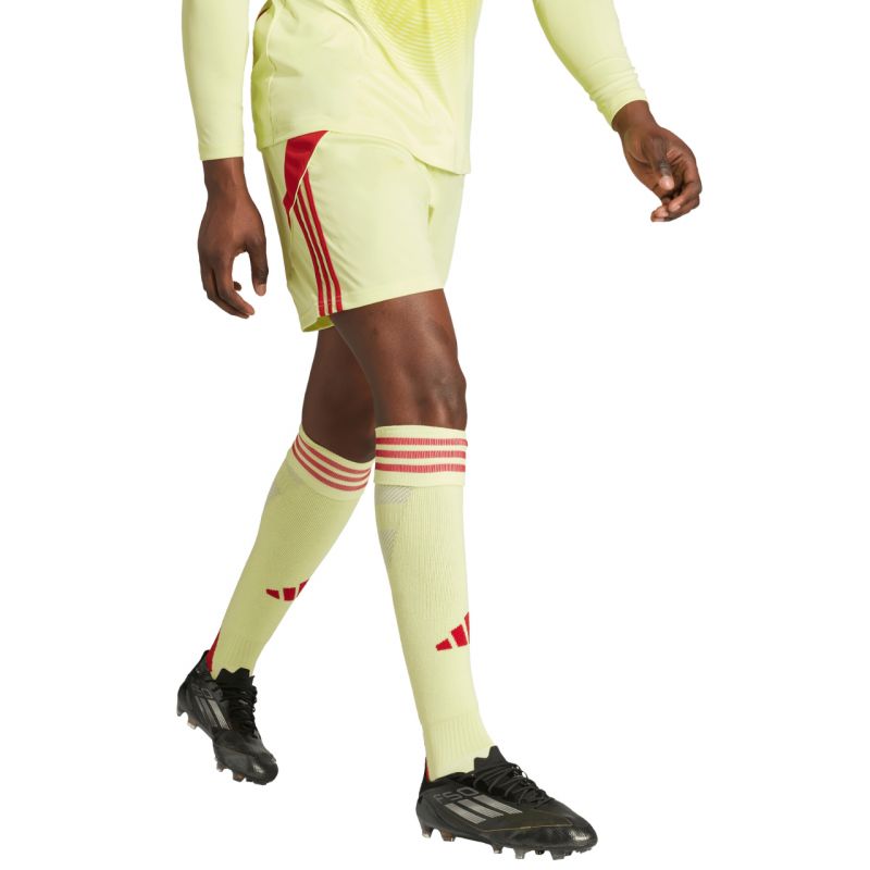 Men's adidas Tiro 24 shorts yellow and red JI6090 adidas