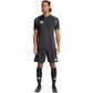 Adidas Tiro 24 Competition Training M shorts IQ4753 Clothing/Football Adidas