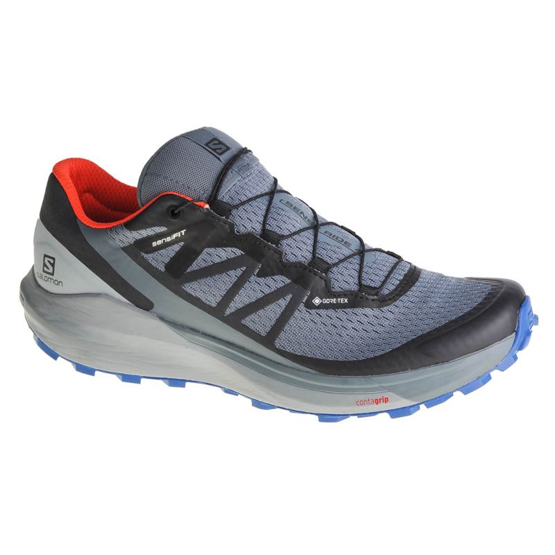 Shoes Salomon Sense Ride 4 GTX M 413778 Footwear/Running/Men Your Sports Performance