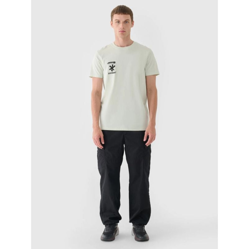 Men's regular printed T-shirt 4F 4FRAW24TTSHM2603-47S 4f