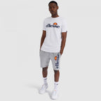 Ellesse Bossini Short M SHS08748-112 shorts Clothing/Lifestyle/Trousers, shorts/Ellesse Your Sports Performance