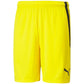 Puma team shortsLIGA M 704924 07 Clothing/Football Puma
