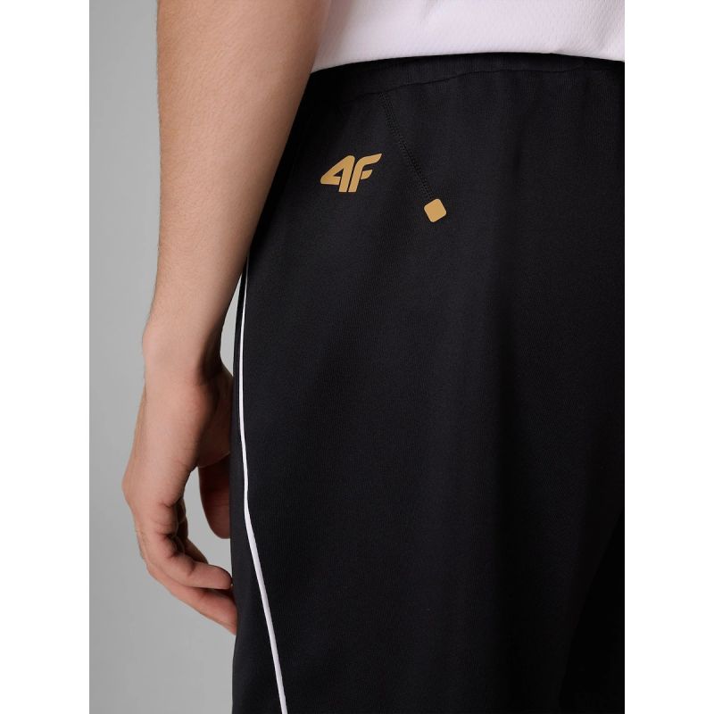 Men’s Quick-Drying Training Shorts 4F | Robert Lewandowski RL9SSS26TFSHM1745-20S