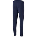 Puma teamRISE Poly Training Pants M 657390 06 Clothing/Training Puma