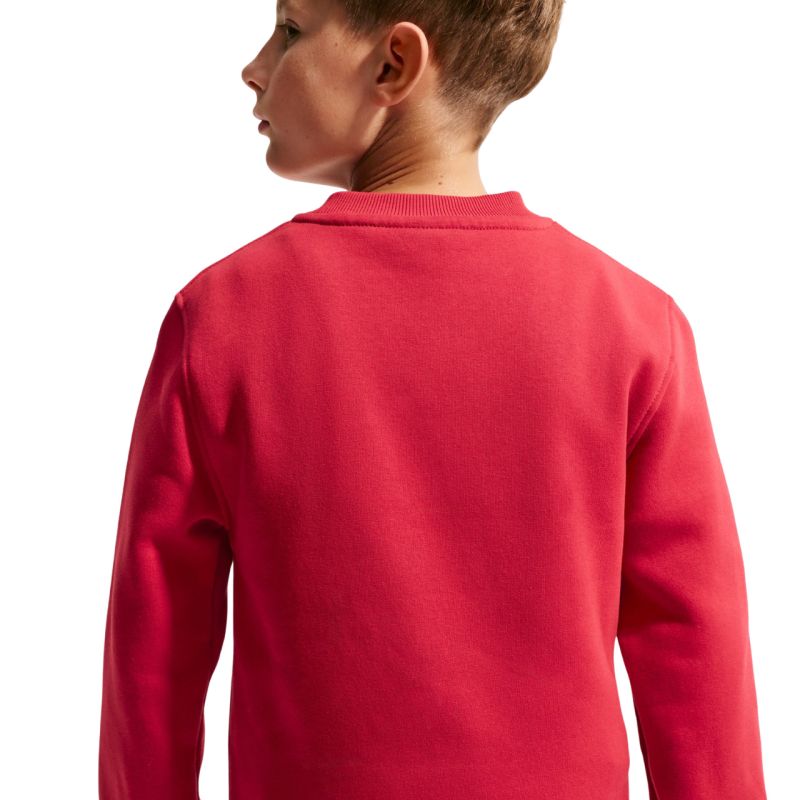 Nike Sportswear Club Fleece Kids' Sweatshirt Red FD3006 608