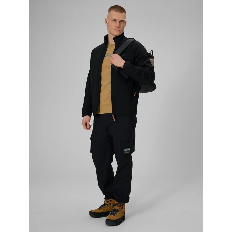 Men's regular sweatshirt without hood 4F 4FRAW25TSWSM2568-20S 4f
