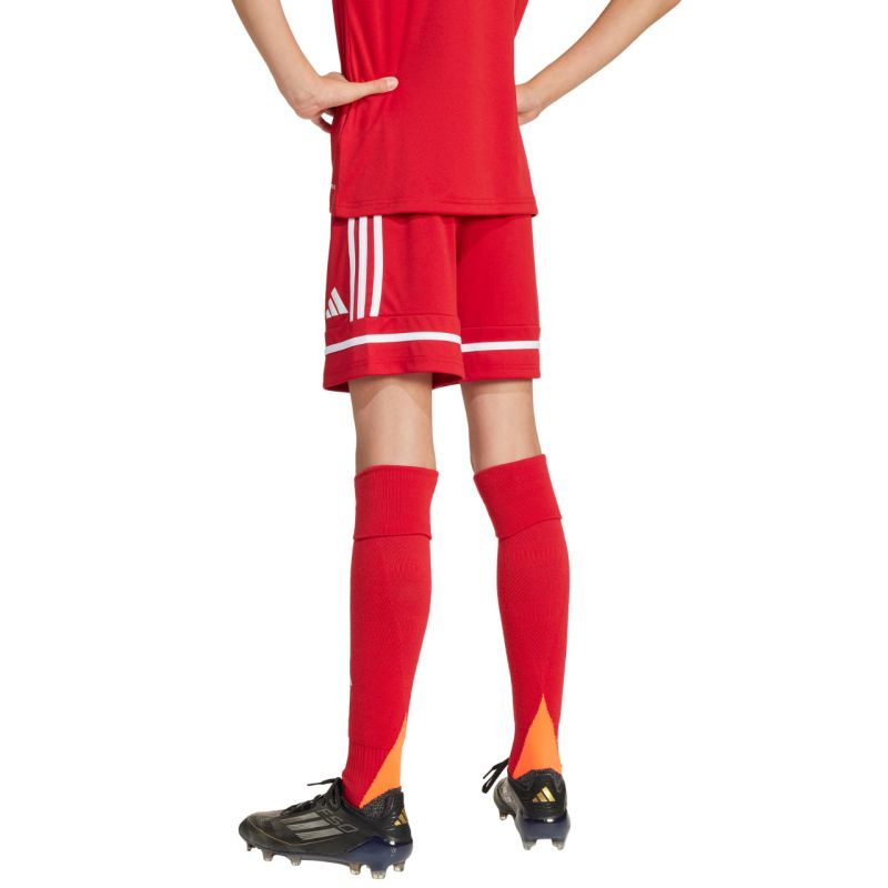 Shorts adidas Squadra 25 Jr JN5456 Clothing/Football Adidas