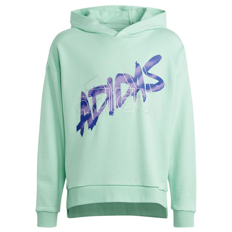 Adidas D Hoody Jr HR5825 sweatshirt Clothing/Lifestyle Adidas