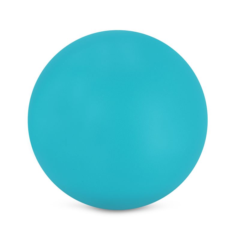 Spokey Diving Net 941665 for learning to dive Accessories/Swimming accessories/Motylki, Pływaczki, Kółka, Piłki, Pontony Your Sports Performance