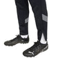 Pants Puma teamFinal Training M 657380 03 Clothing/Training Puma