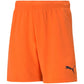 Puma teamRise Short Jr 704943 08 Clothing/Training Puma