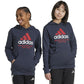 Adidas Manchester United Kids Jr IT4199 sweatshirt Clothing/Football Adidas