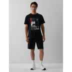 Men's regular printed T-shirt 4F 4FRAW26TTSHM4447-20S