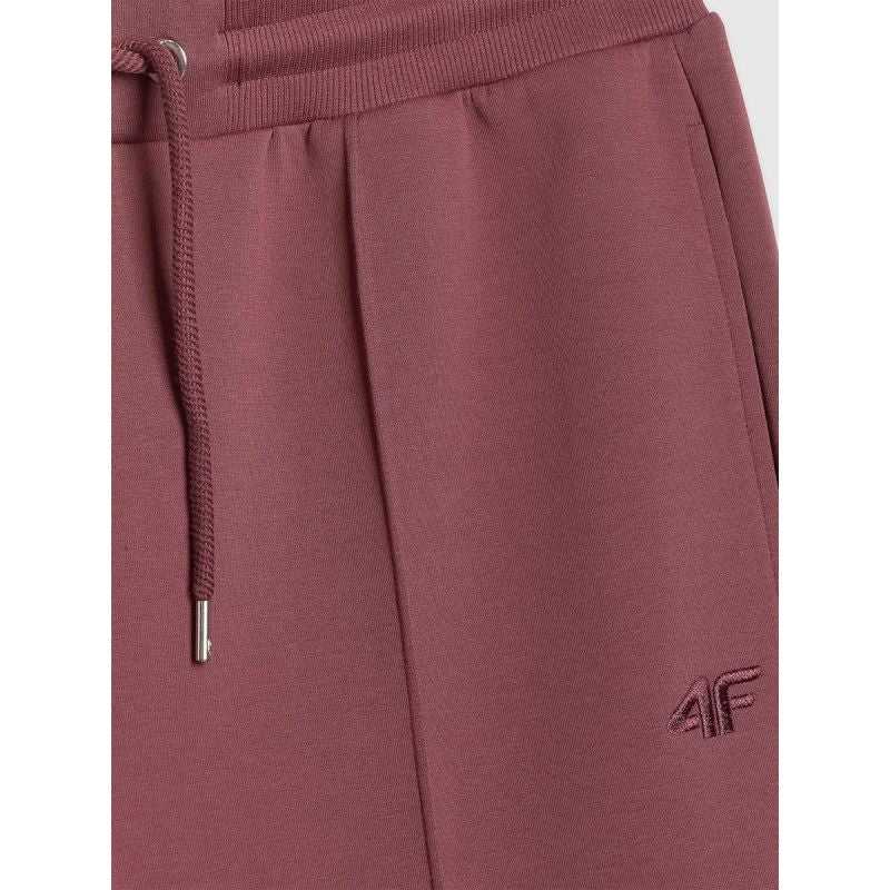 Men's sweatpants 4F 4FRSS26TTROM1856-60S 4f