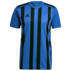 Adidas Striped 21 JSY M GV1380 Tee Clothing/Football Adidas