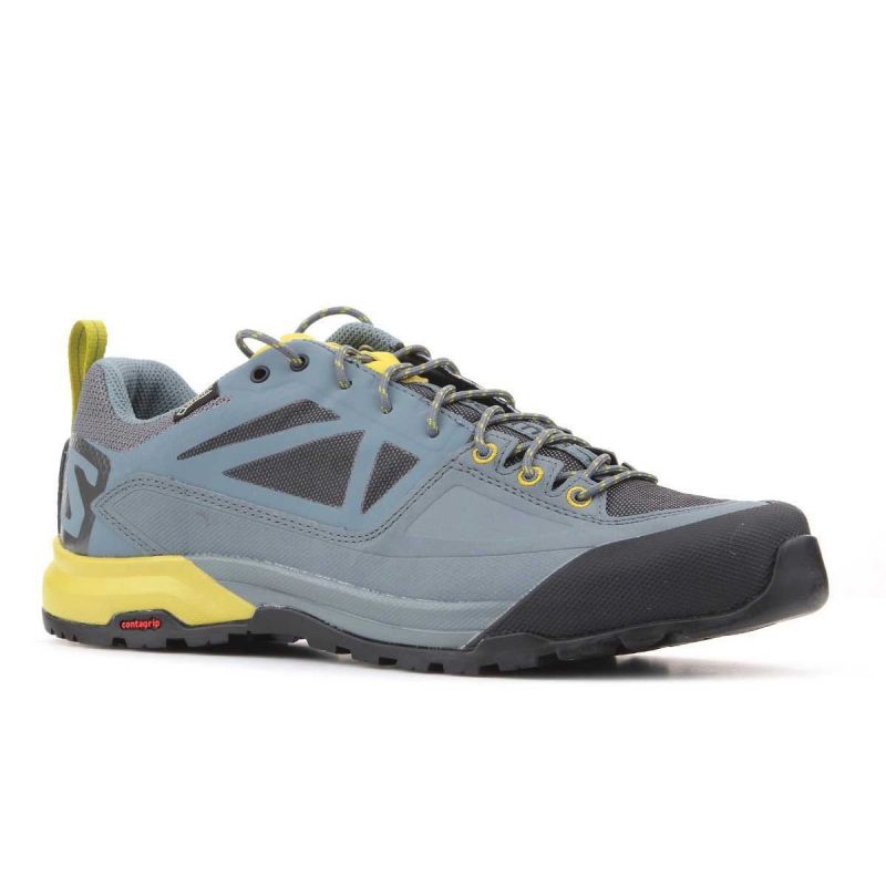 Salomon X Alp SPRY GTX M 401621 shoes Footwear/Outdoor Your Sports Performance