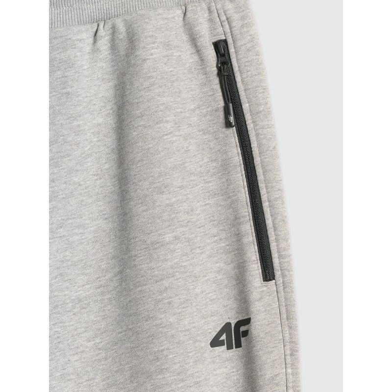Men's jogger sweatpants 4F 4FRMM00TTROM2020-27M 4f