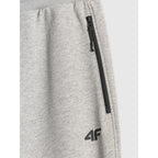 Men's jogger sweatpants 4F 4FRMM00TTROM2020-27M 4f