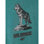Boy's regular hooded sweatshirt 4F 4FJKAW26TSWSM3153-46S
