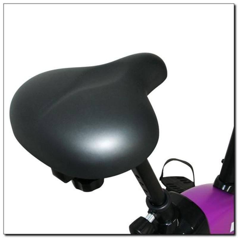 Magnetic bike purple HMS M9239V Accessories/Training equipment/Rowery, orbitreki Your Sports Performance