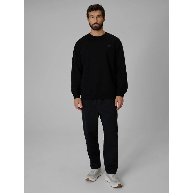 Men's regular sweatshirt without hood 4F 4FRMM00TSWSM3059-20S