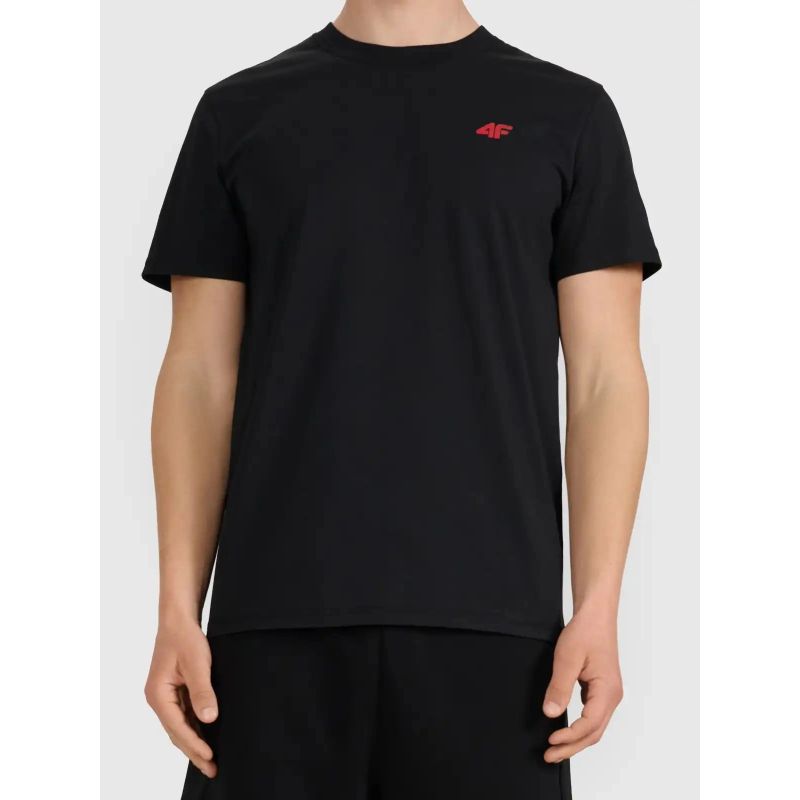 Regular men's T-shirt 4F 4FWMM00TTSHM3341-020S