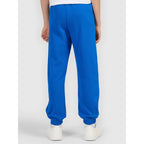 Boys' sweatpants 4F 4FJWAW26TTROM1759-36S