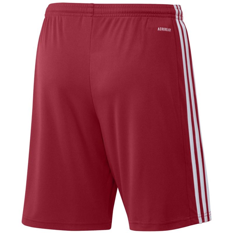 Adidas Squadra 21 Short M GN5771 Clothing/Football Adidas