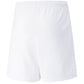 Puma teamRISE Short Jr 704943 03 Clothing/Football Puma
