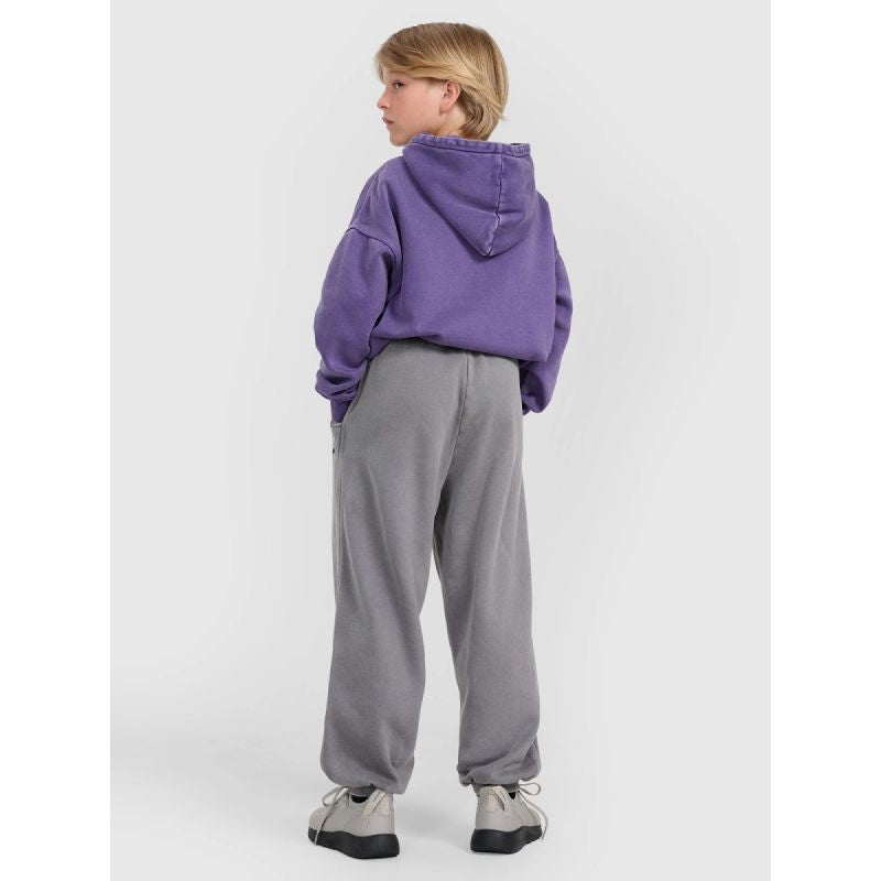 Boys' jogger sweatpants 4F 4FJRAW25TTROM1528-24S 4f