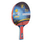 Giant Dragon 4★ N804 Table Tennis Racket Accessories/Rackets and accessories Your Sports Performance