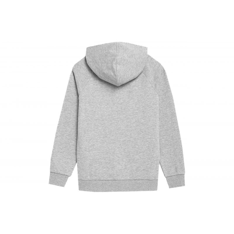 Sweatshirt 4F Jr 4FJSS23TSWSM220 cool light gray Clothing/Lifestyle/4F 4F