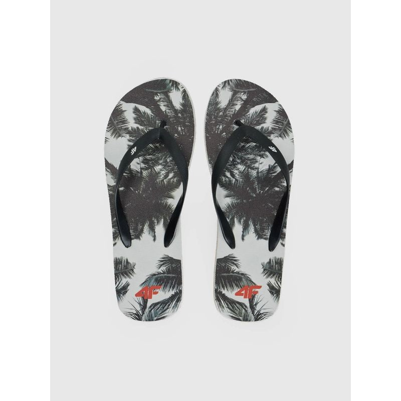 Men's flip-flops 4F 4FRSS26FFLIM246-21A