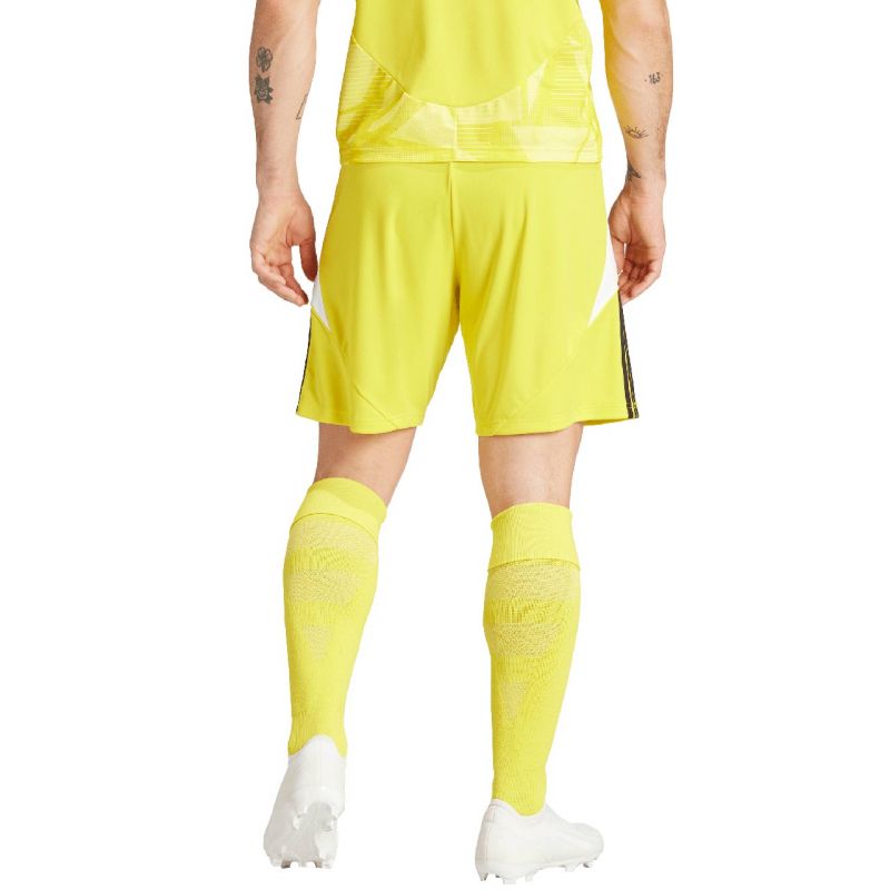 Adidas Tiro 24 M IS1409 shorts Clothing/Football Adidas