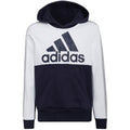 Adidas Colorblock Fleece Jr HC5659 sweatshirt Clothing/Lifestyle Adidas