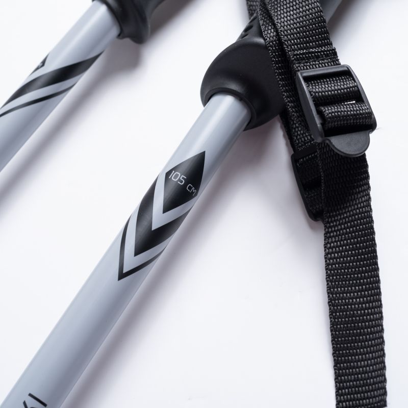 ALPINE SKI II poles In preparation Your Sports Performance