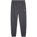 Puma Better Essentials Pants M 676816 69 Clothing/Lifestyle/Trousers, shorts Puma