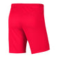 Shorts Nike Park III Knit Jr BV6865-635 Clothing/Football Nike