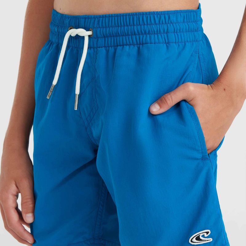 O'Neill Vert 14" Swim Shorts Jr 92800614215 Clothing/Swimming/ONeill Your Sports Performance