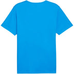 Puma teamRISE Matchday Jersey M 706132 02 Clothing/Football Puma